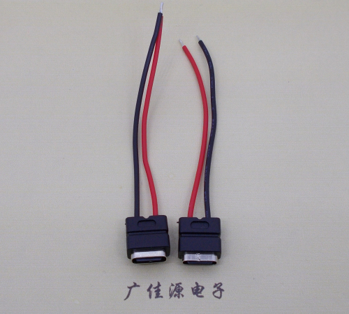 江西type c2p防水母座焊线式带线注塑成型带接线端子/不带接线端子充电连接器