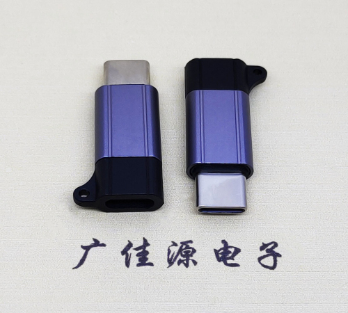 江西Type-C母转Type-C公 USB3.1 PD100W快冲接口